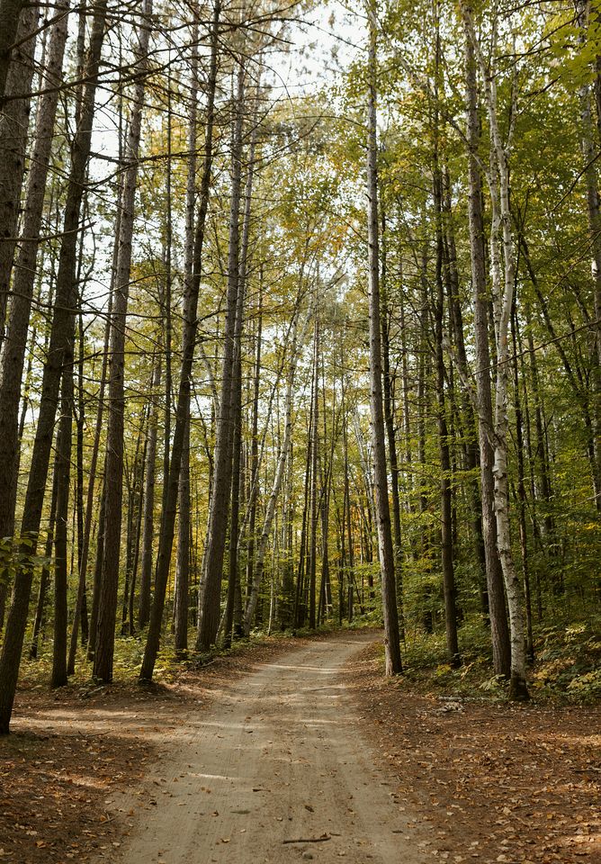 Incredible Dome Surrounded by Trees and Fantastic Vistas in Petawawa, Ontario