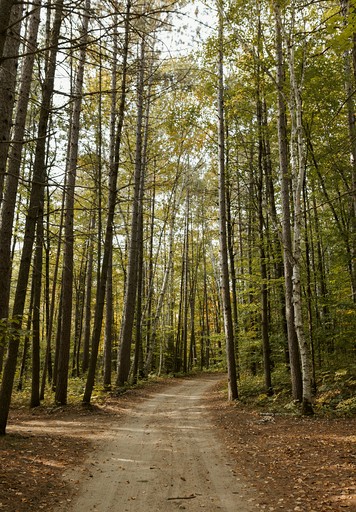 Domes (Canada, Petawawa, Ontario)