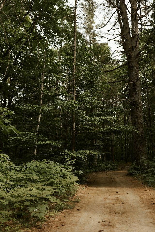 Incredible Dome Surrounded by Trees and Fantastic Vistas in Petawawa, Ontario