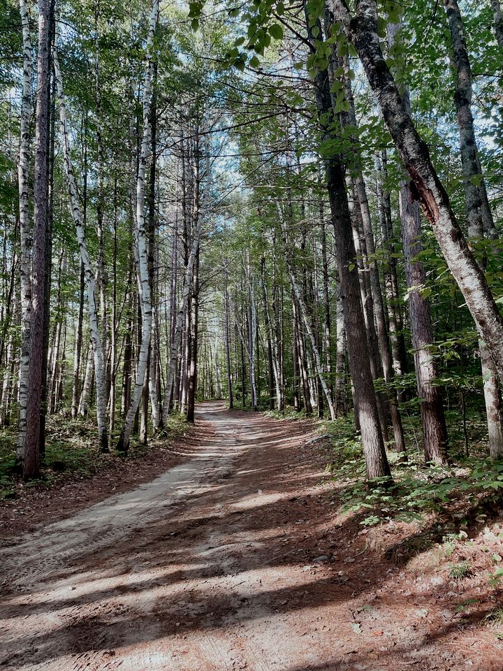 Incredible Dome Surrounded by Trees and Fantastic Vistas in Petawawa, Ontario