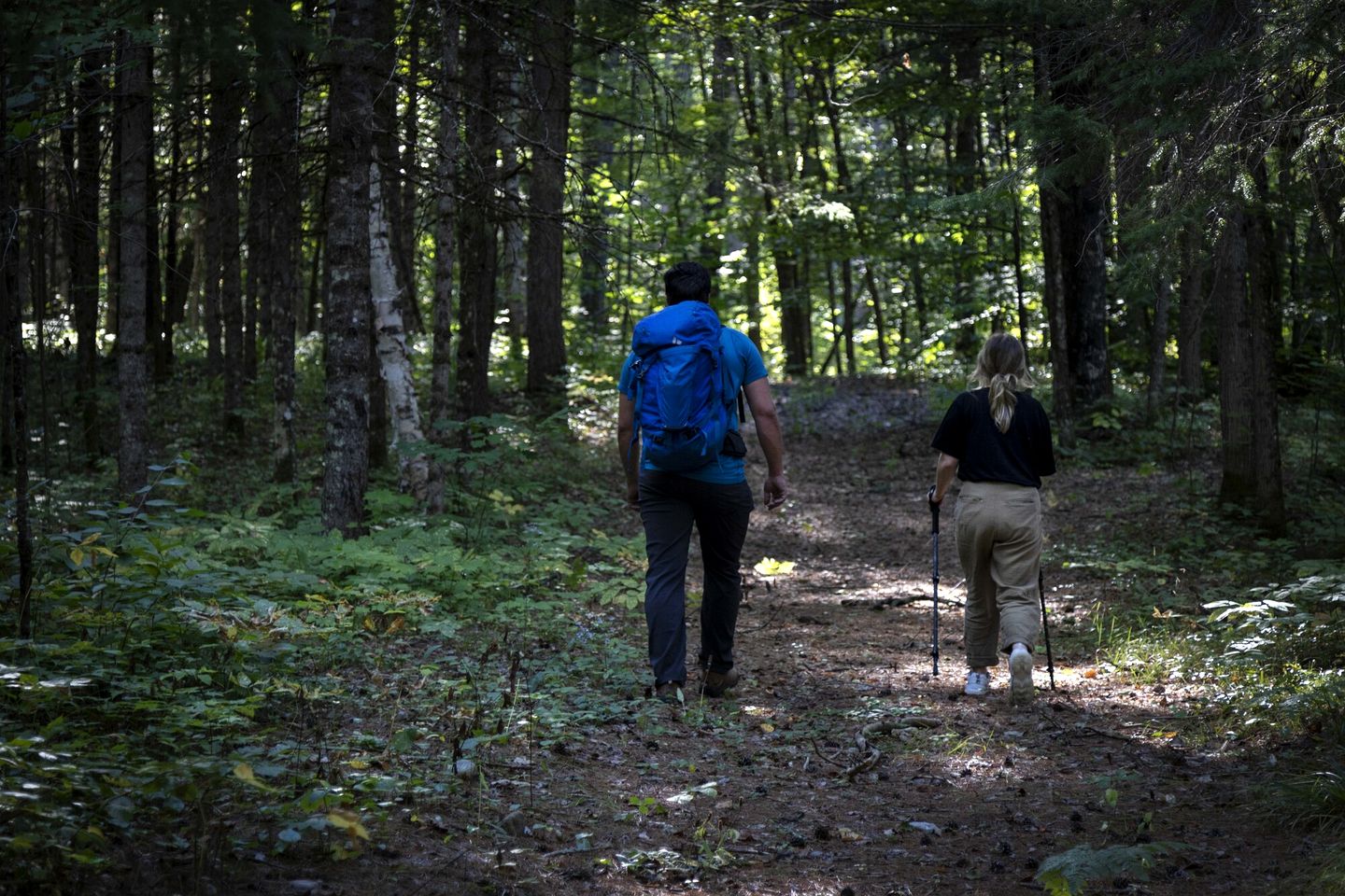 Incredible Dome Surrounded by Trees and Fantastic Vistas in Petawawa, Ontario