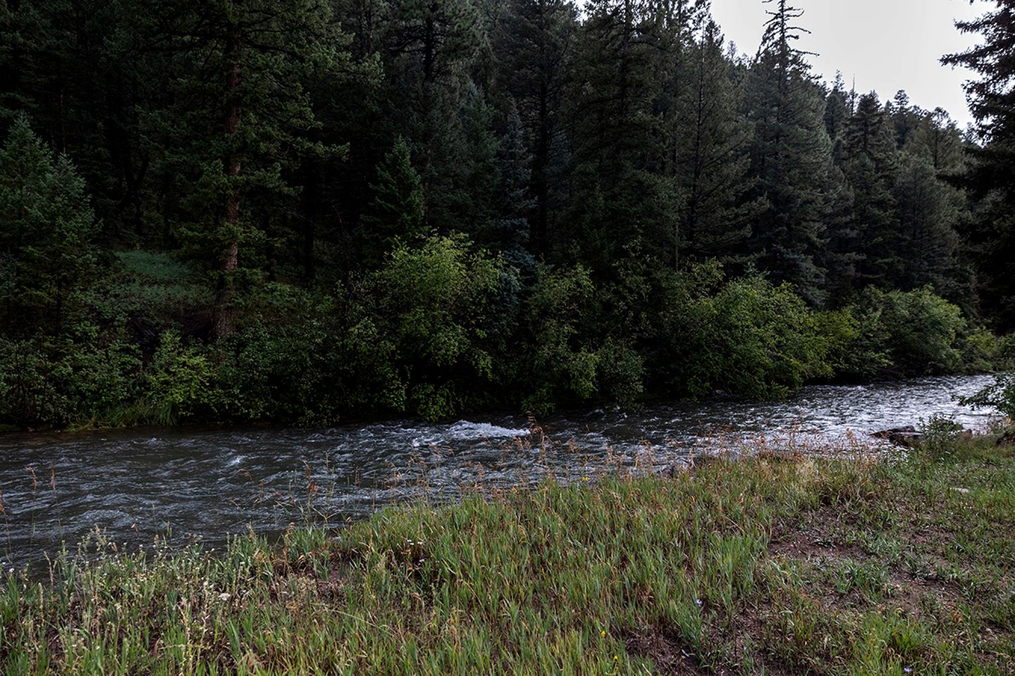 Riverside Mountain Dome with Luxurious Amenities in Bailey, Colorado