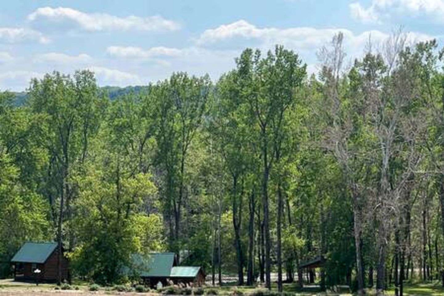 Secluded Riverside Cabin for 8 in Belfast, NY with Rustic Amish-Built Retreat