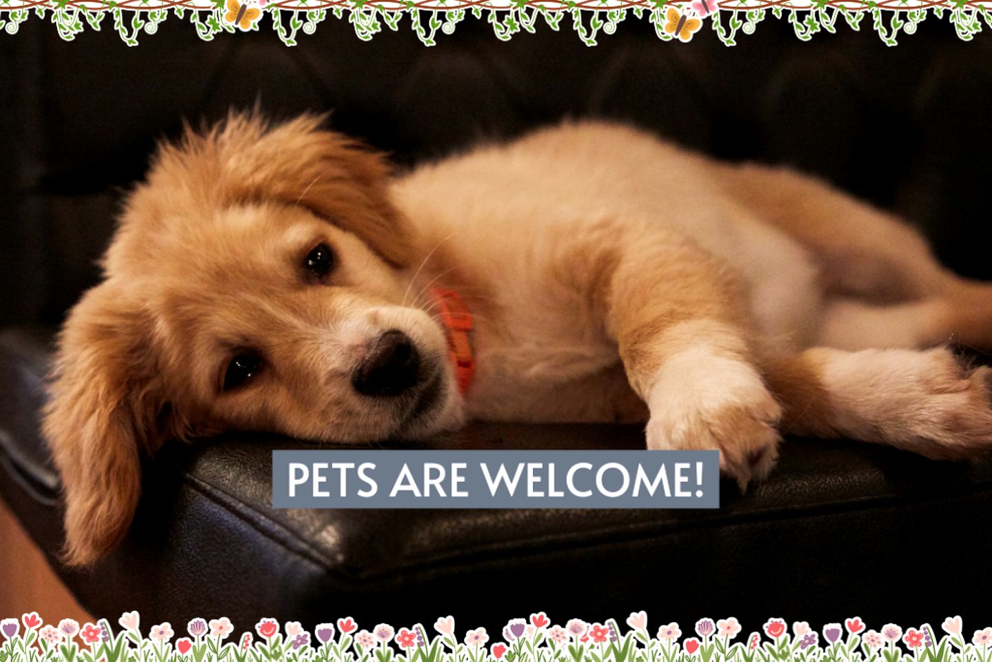 Riverside Pet Friendly Cabin with Hot Tub and Firepit on Glover River, Broken Bow, OK