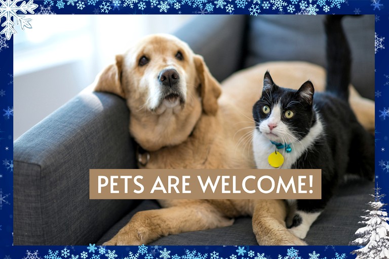 Cabins (United States of America, Broken Bow, Oklahoma)