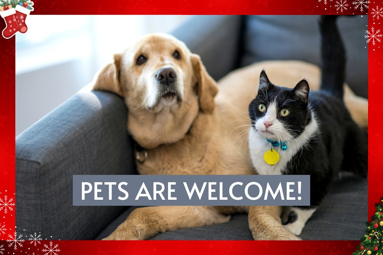 Cabins (United States of America, Broken Bow, Oklahoma)