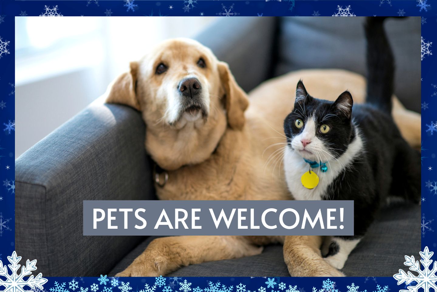 Riverside Pet Friendly Cabin with Hot Tub and Firepit on Glover River, Broken Bow, OK