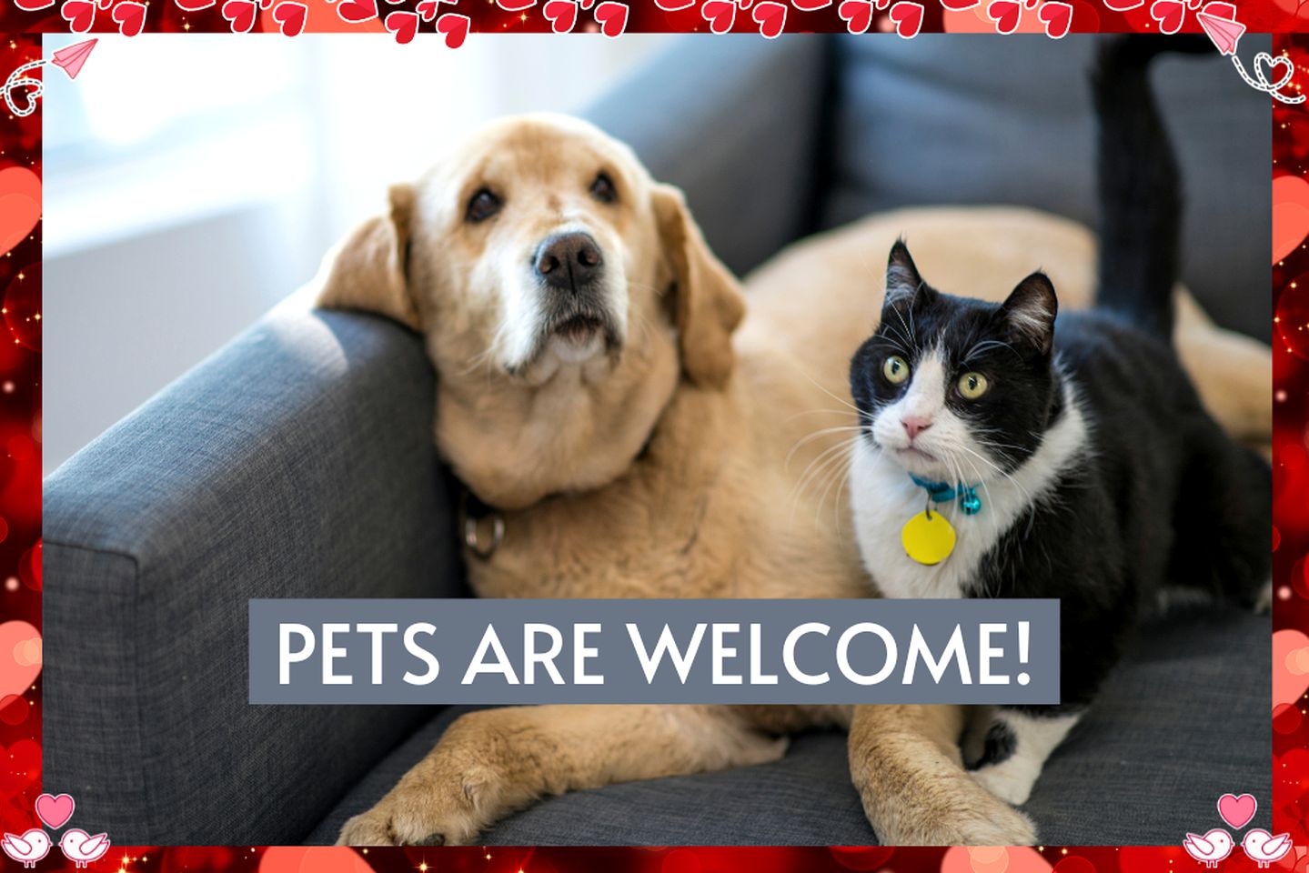 Riverside Pet Friendly Cabin with Hot Tub and Firepit on Glover River, Broken Bow, OK