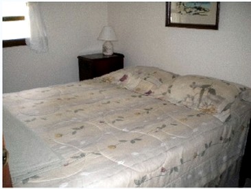 undefined photo 4