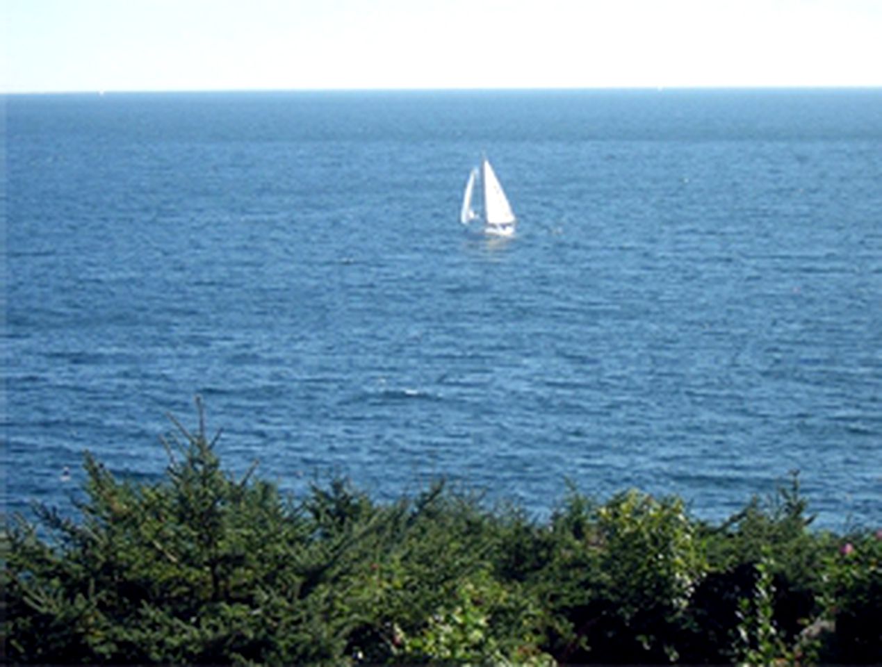 Oceanfront Luxury Cabin near Pemaquid Point Lighthouse in Pemaquid, Maine