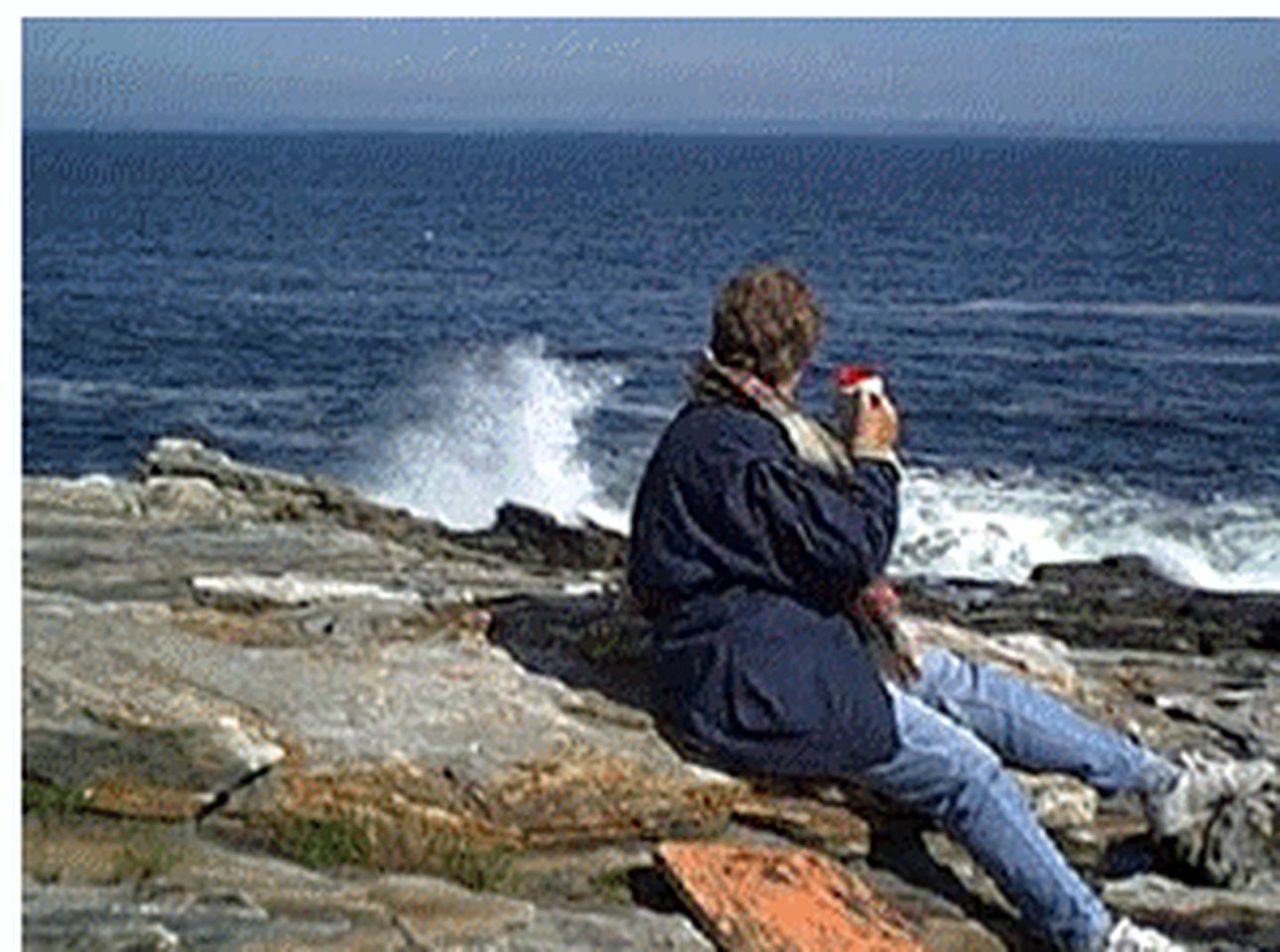 Oceanfront Luxury Cabin near Pemaquid Point Lighthouse in Pemaquid, Maine