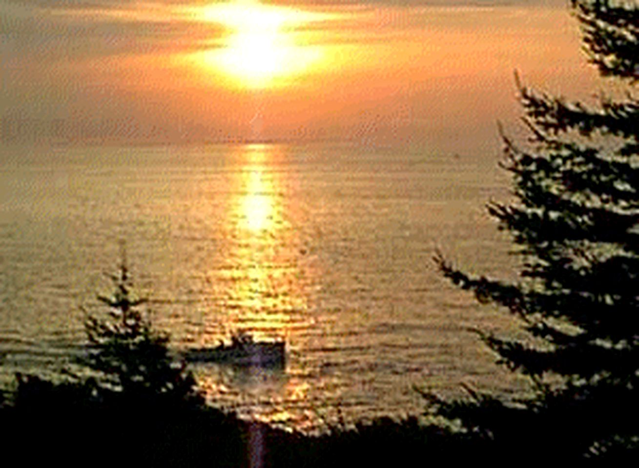 Oceanfront Luxury Cabin near Pemaquid Point Lighthouse in Pemaquid, Maine