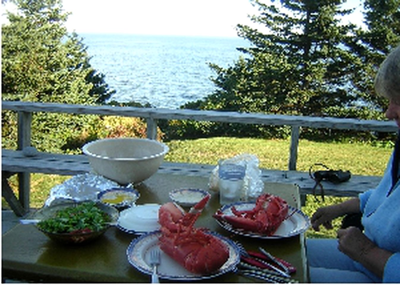 Oceanfront Luxury Cabin near Pemaquid Point Lighthouse in Pemaquid, Maine