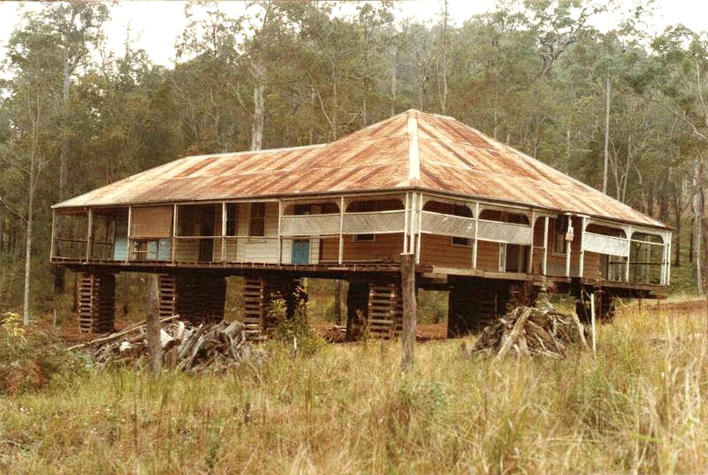 Amazing Accommodation for a Bird Watching Getaway near Gold Coast, Queensland