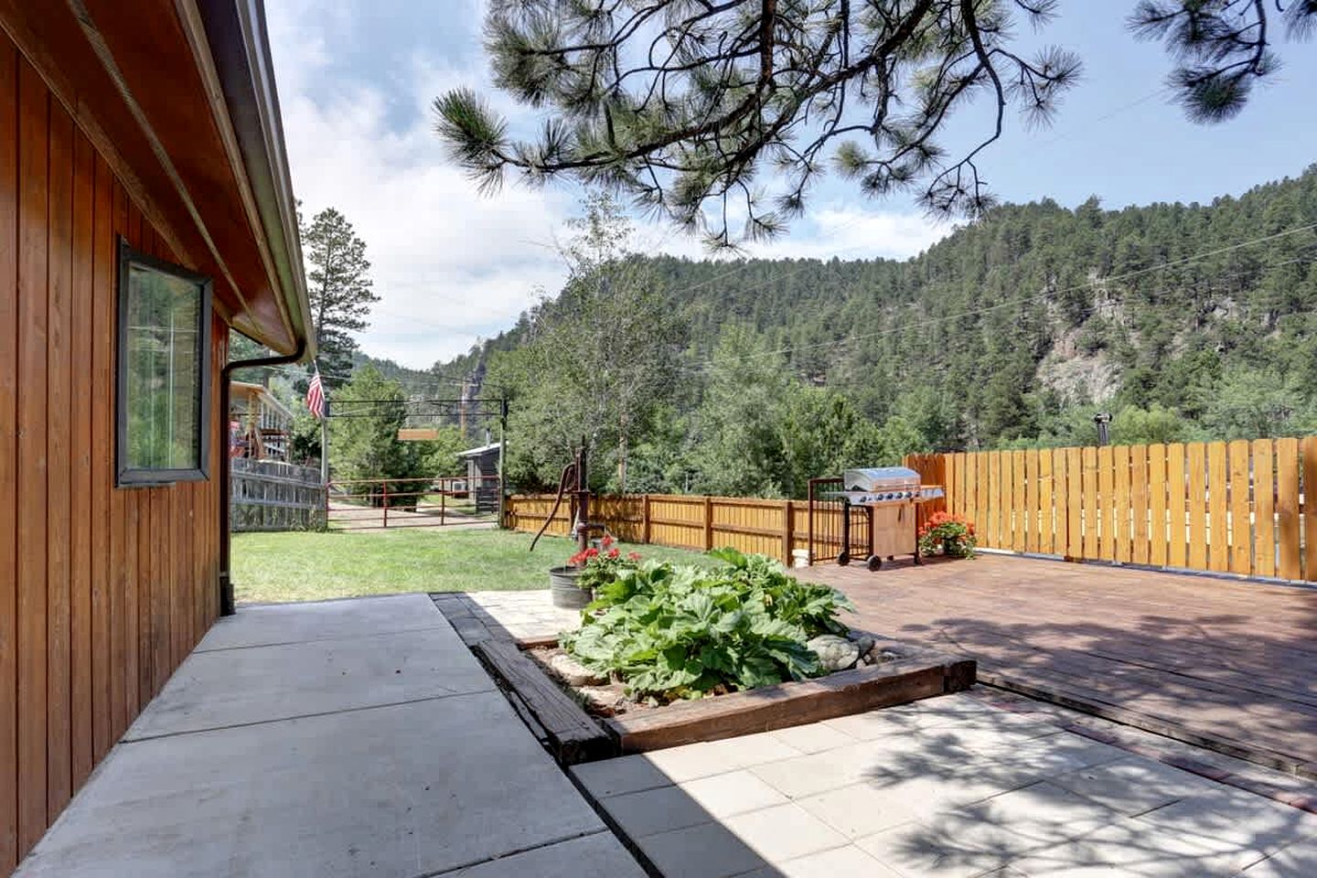 Serene Pine-Surrounded Cabin Retreat near Mount Rushmore in South Dakota