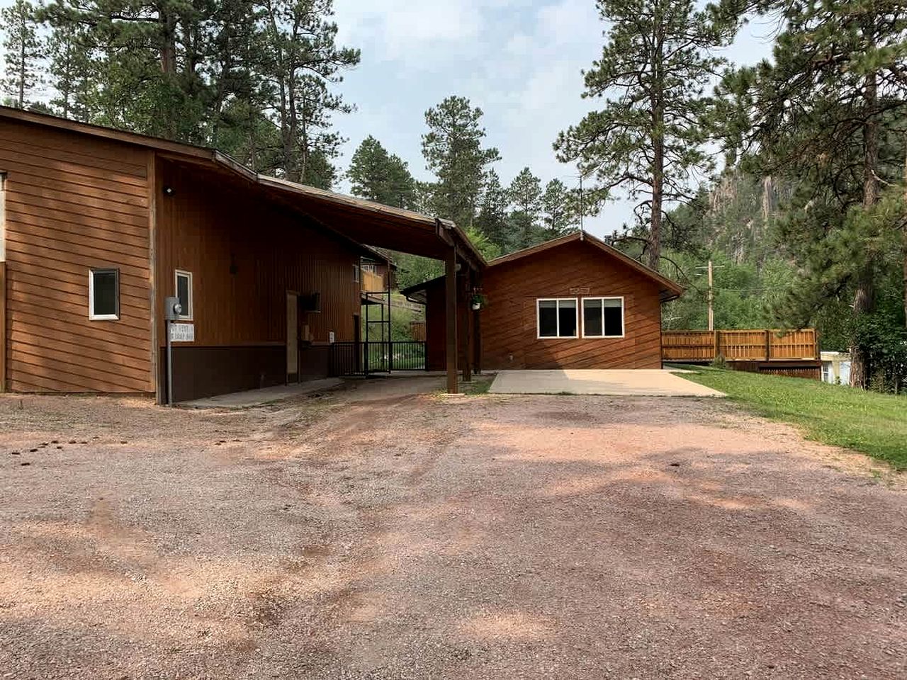 Serene Pine-Surrounded Cabin Retreat near Mount Rushmore in South Dakota