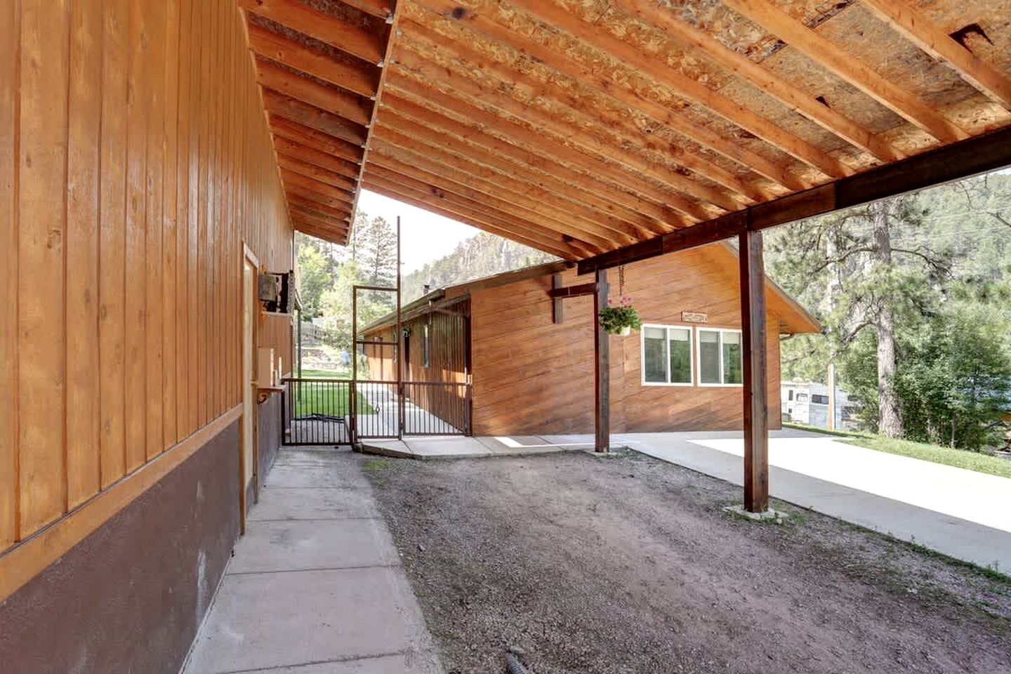 Serene Pine-Surrounded Cabin Retreat near Mount Rushmore in South Dakota
