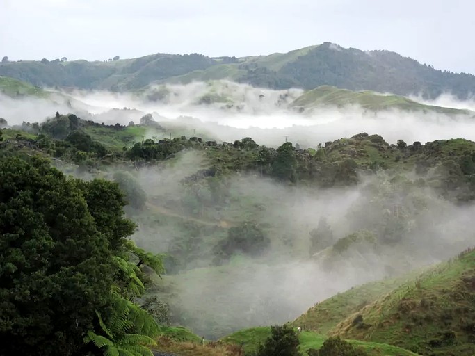 Cottages (Waitomo, North Island, New Zealand)