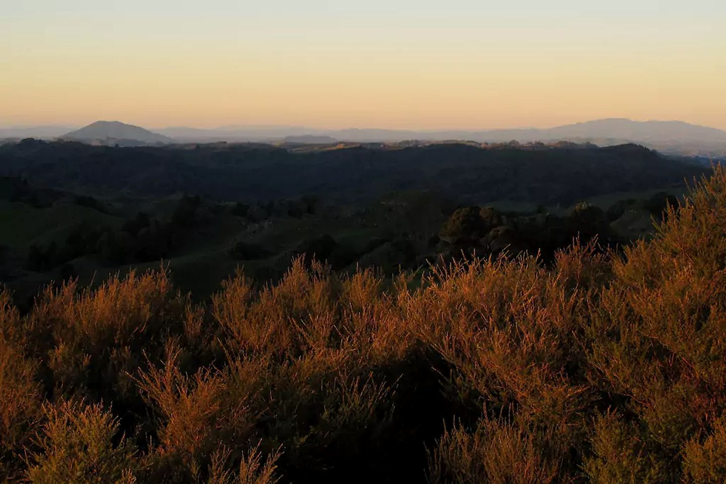 Eco Friendly Cottage for Rent near Waitomo Caves Village, North Island, New Zealand