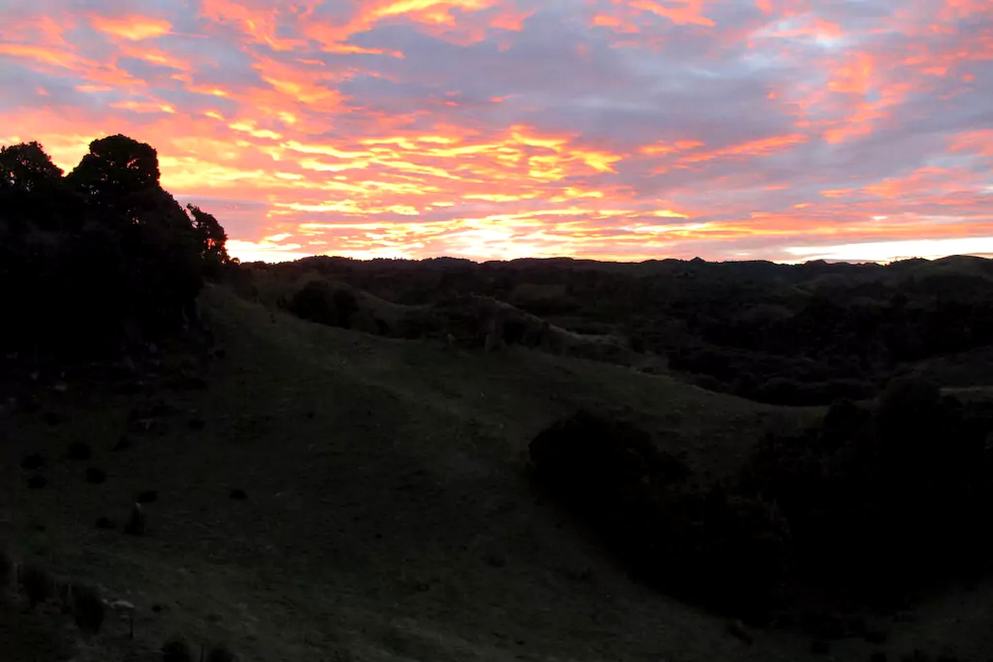 Eco Friendly Cottage for Rent near Waitomo Caves Village, North Island, New Zealand