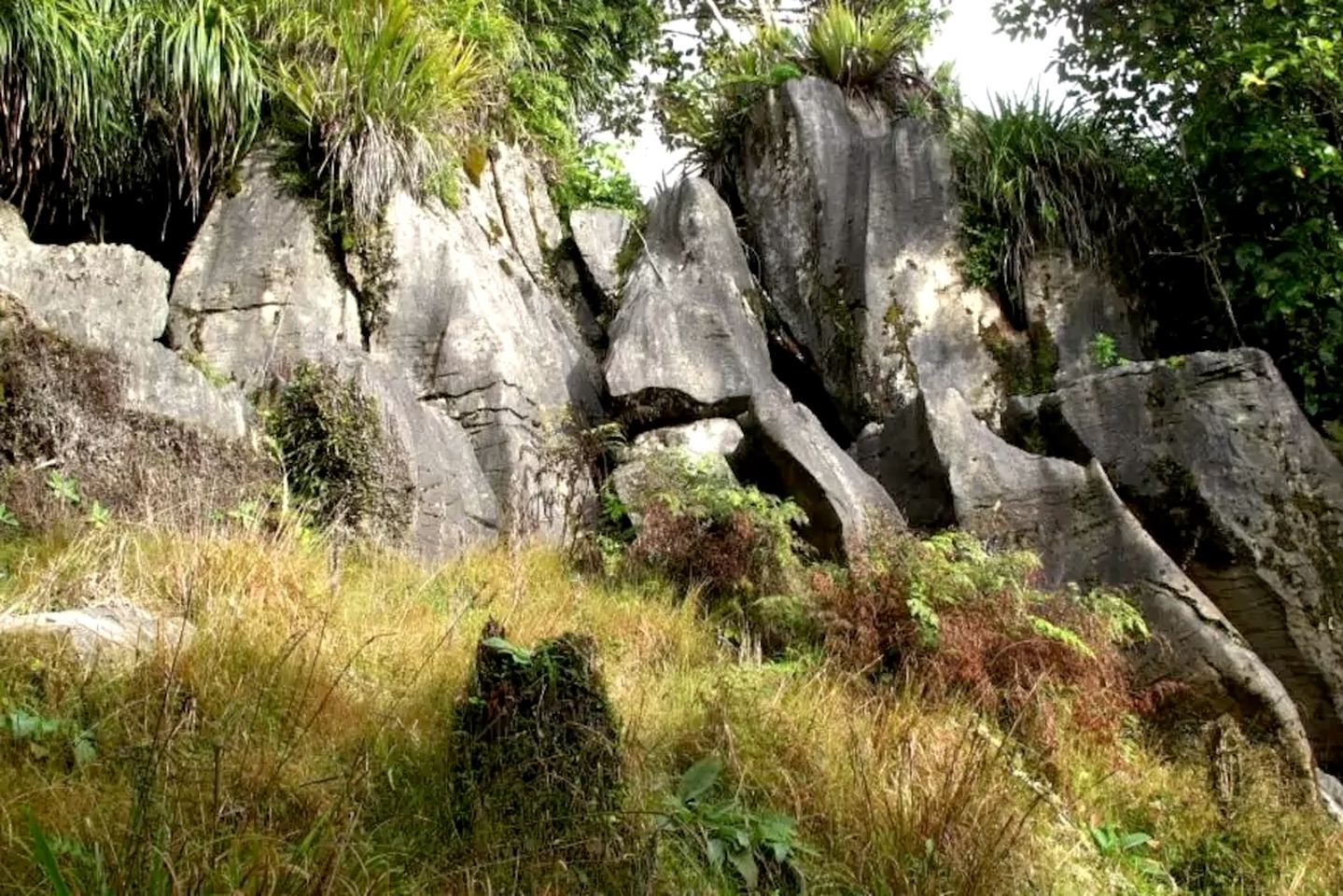 Eco Friendly Cottage for Rent near Waitomo Caves Village, North Island, New Zealand