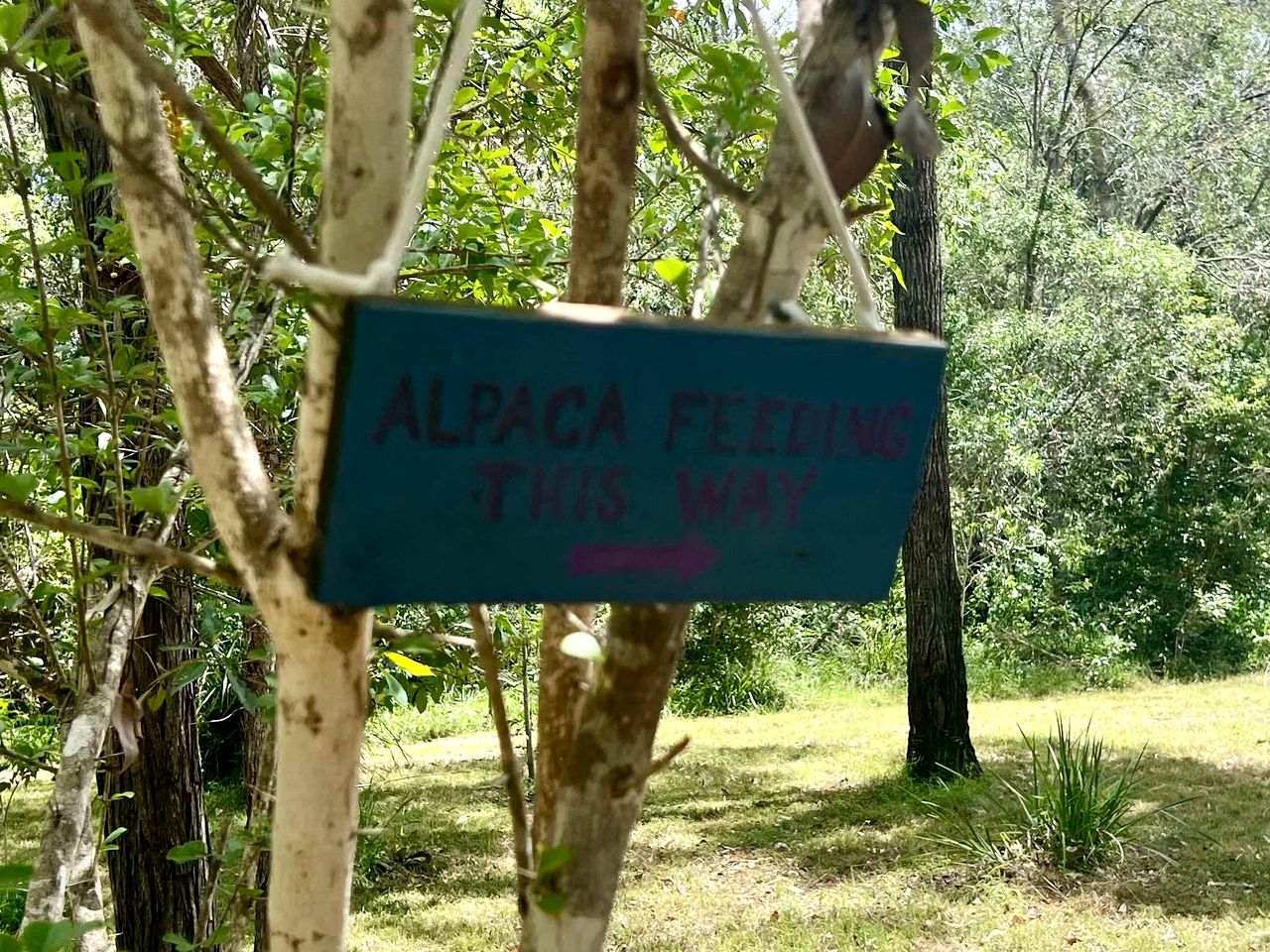 Relaxing Tiny House Escape with Stunning Rocky Creek Views, Nestled in the Foothills of the Bauple Mountains in Glenwood, New South Wales