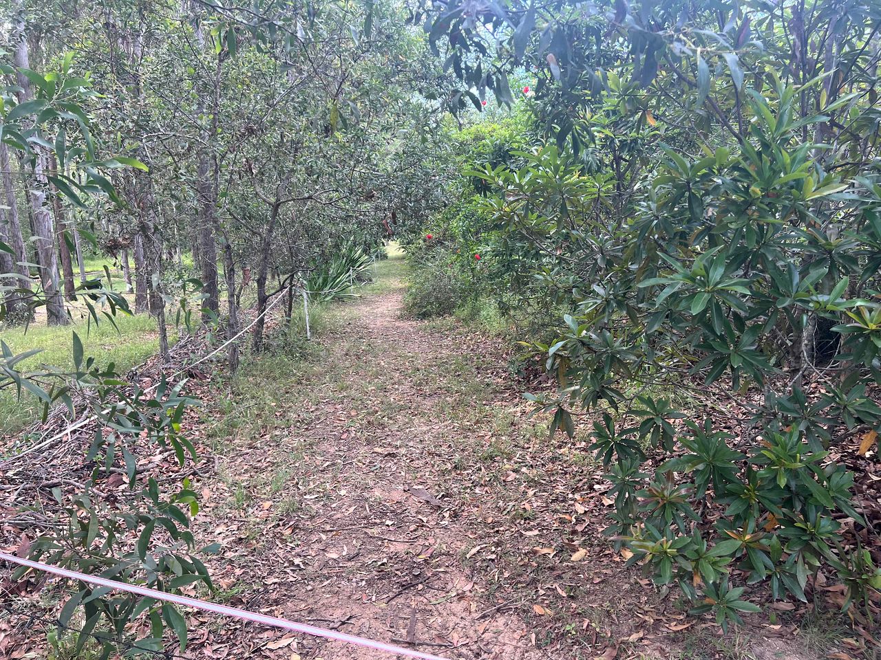 Relaxing Tiny House Escape with Stunning Rocky Creek Views, Nestled in the Foothills of the Bauple Mountains in Glenwood, New South Wales