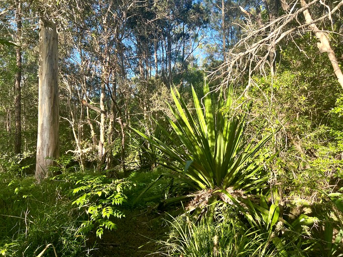 Tiny Houses (Australia, Glenwood, New South Wales)