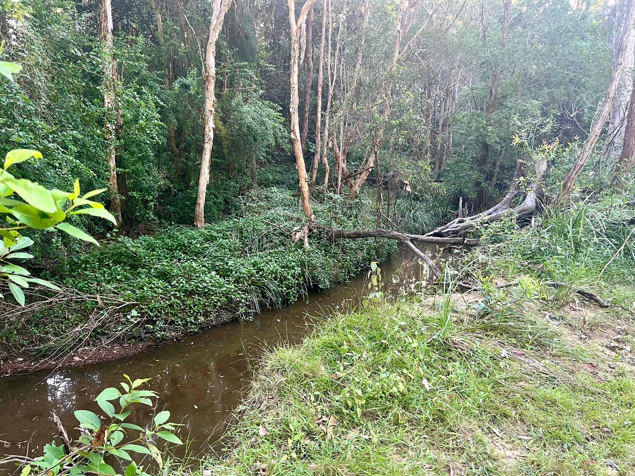 Relaxing Tiny House Escape with Stunning Rocky Creek Views, Nestled in the Foothills of the Bauple Mountains in Glenwood, New South Wales