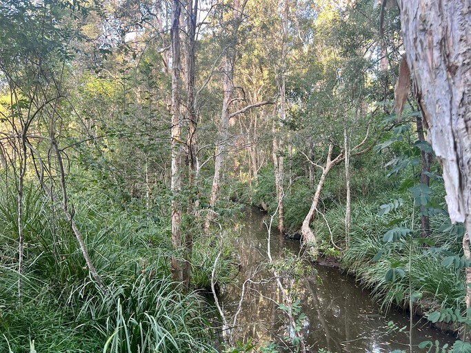 Tiny Houses (Australia, Glenwood, New South Wales)
