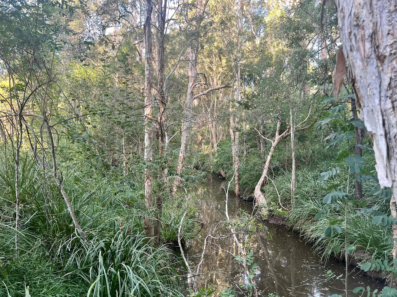 Relaxing Tiny House Escape with Stunning Rocky Creek Views, Nestled in the Foothills of the Bauple Mountains in Glenwood, New South Wales
