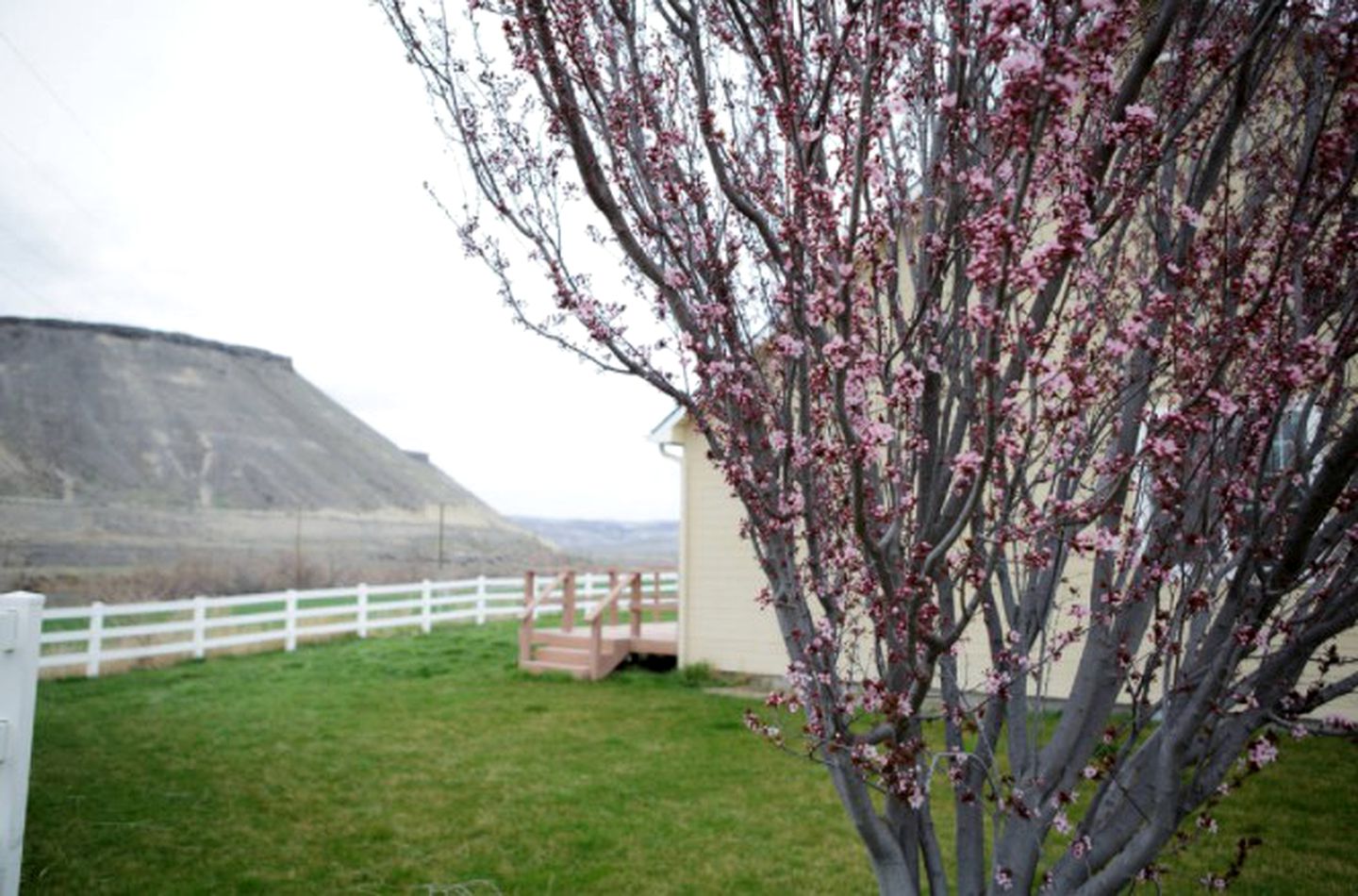 Luxurious Honeymoon Suite with Whirlpool Tub and Views of Snake River Canyon, Idaho