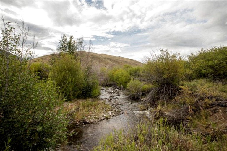 Safari Tents (Challis, Idaho, United States)