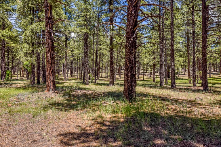 Vacation Rentals (United States of America, Parks, Arizona)