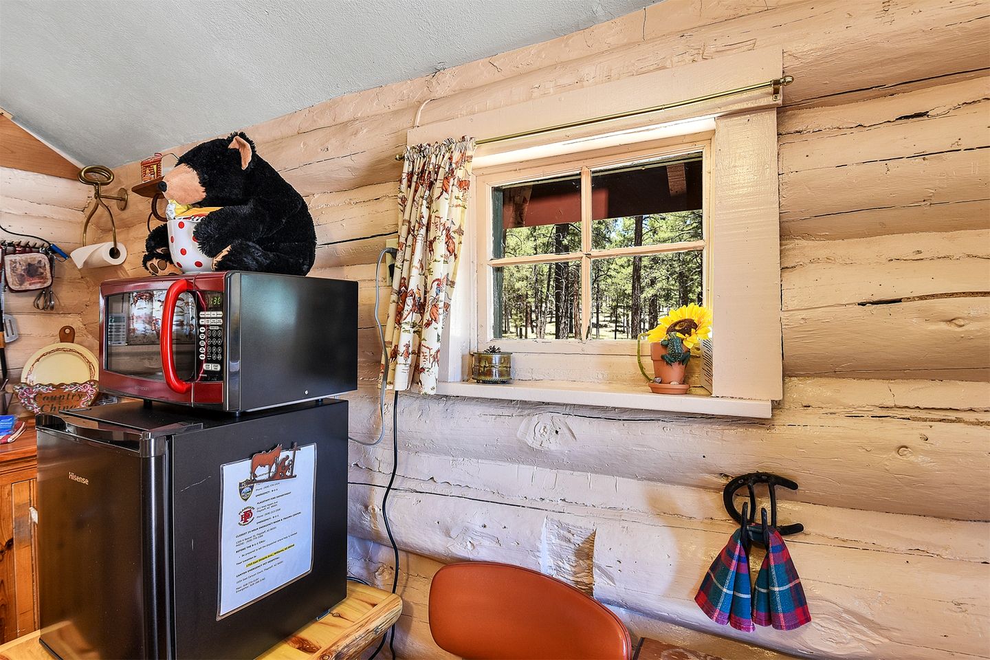 Simple and Historic Fishing Log Cabin for a Rustic Retreat to Northern Arizona