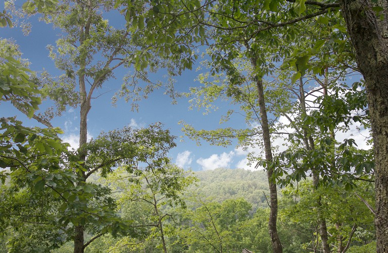 Cabins (United States of America, Sevierville, Tennessee)