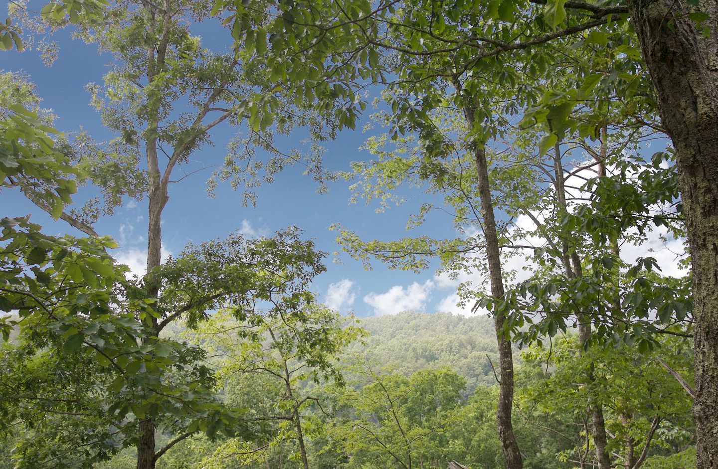 Lovely Cabin with Pool Table, Hot-Tub and Pool in Sevierville, Tennessee
