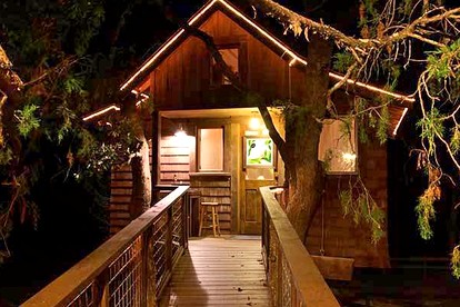Texas Treehouse Hotel Hill Country Treehouse Rentals In Texas
