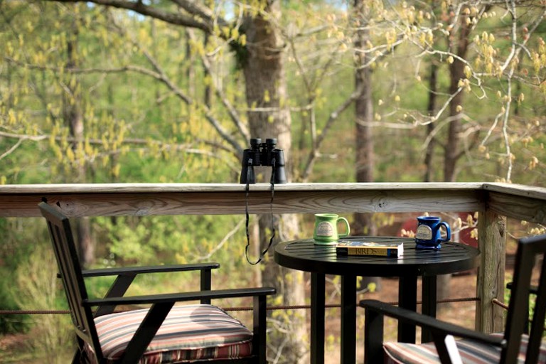 Nature Lodges (Bismarck, Arkansas, United States)