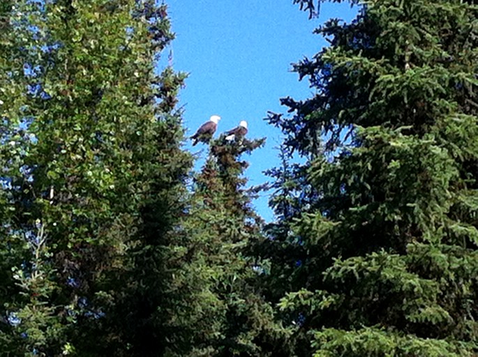 Nature Lodges (Soldotna, Alaska, United States)