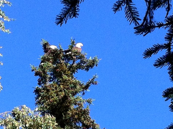 Nature Lodges (Soldotna, Alaska, United States)