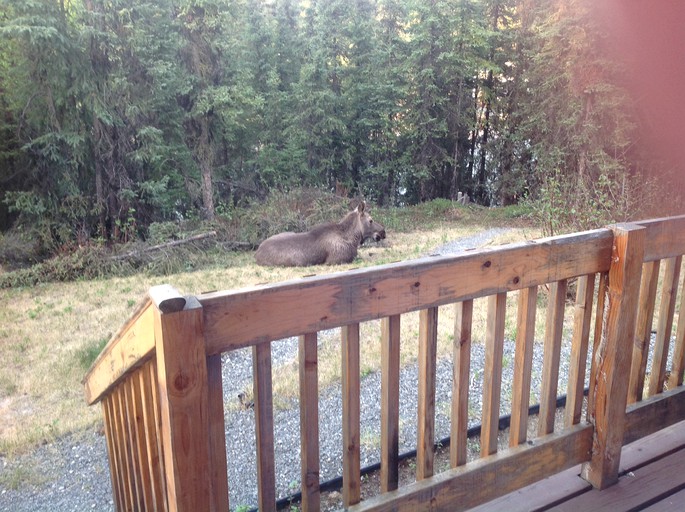 Nature Lodges (Soldotna, Alaska, United States)