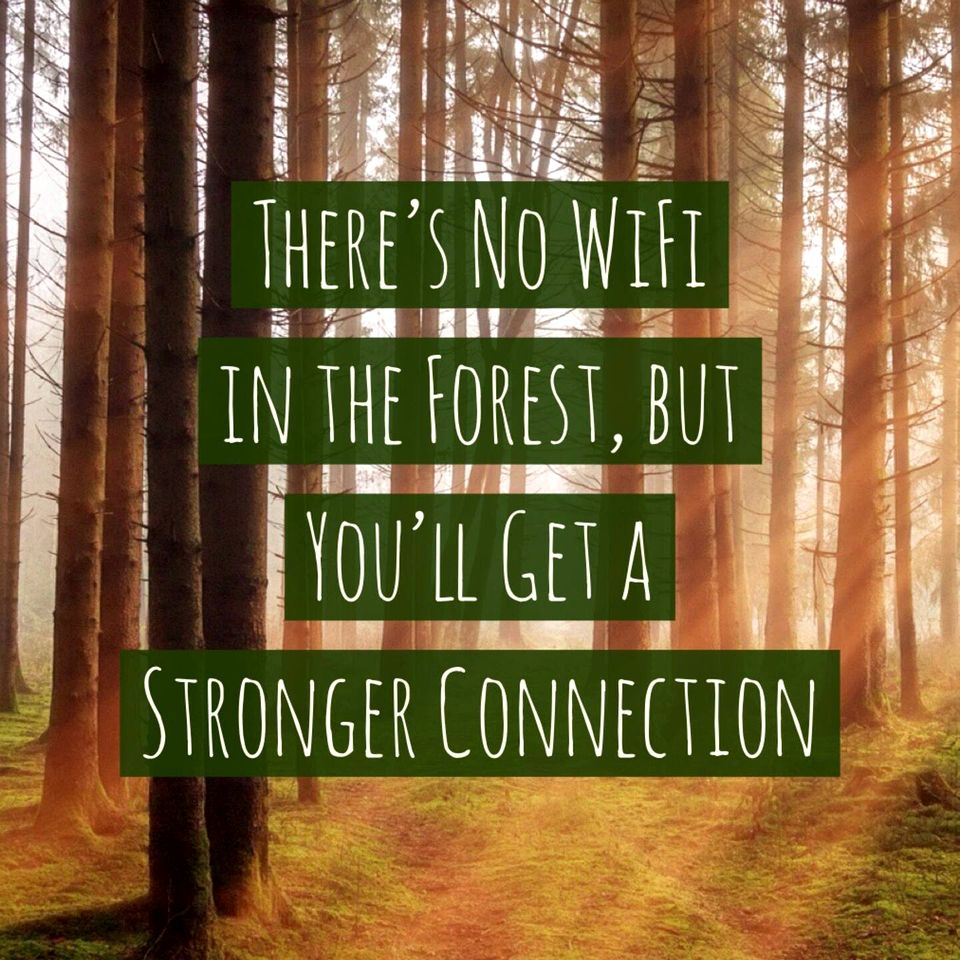 Romantic Bell Tent Retreat in Georgia’s Enchanted Forest near Lake Oconee