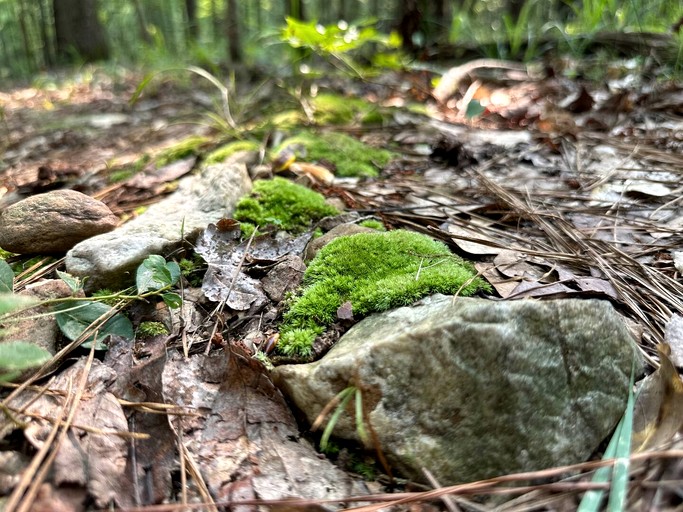 Vacation Rentals (United States of America, Eatonton, Georgia)