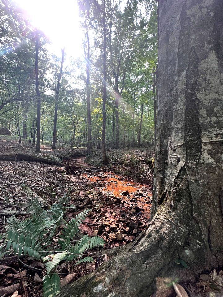 Romantic Bell Tent Retreat in Georgia’s Enchanted Forest near Lake Oconee