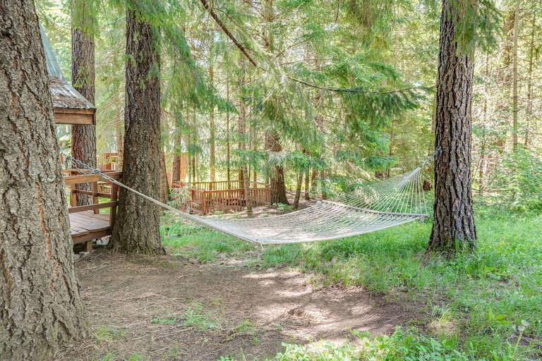 Cabins (United States of America, Trout Lake, Washington)