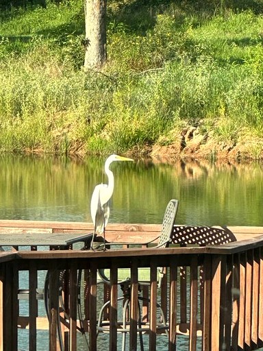 Cabins (United States of America, Yantis, Texas)