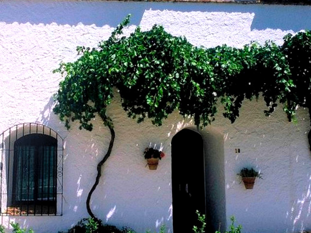 Romantic Cave Getaway with Pool Access near Granada, Spain