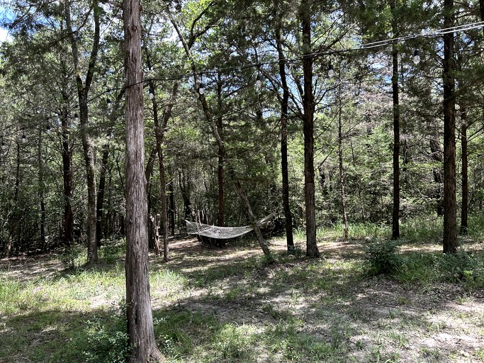 Containers (United States of America, Eustace, Texas)