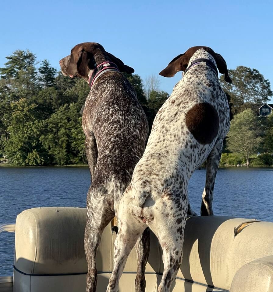Romantic Studio Cottage on the Shores of Harvey Lake near Concord, New Hampshire